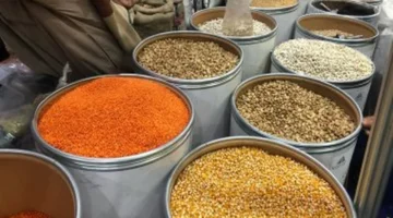 بكام العدس اليوم؟ أسعار البقوليات في كفر الشيخ يوم السبت 20 ديسمبر 2025